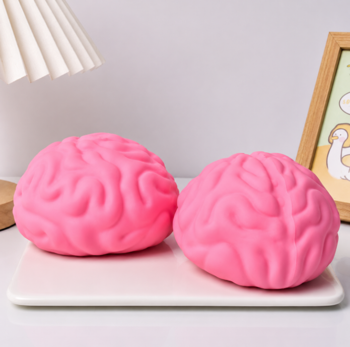The Brain