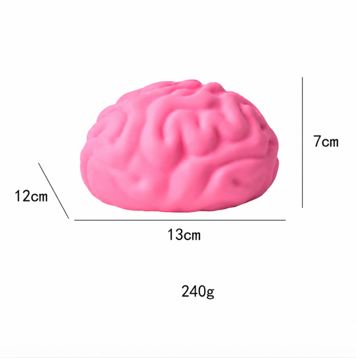 The Brain