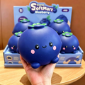 Jumbo Blueberry Squishyyy